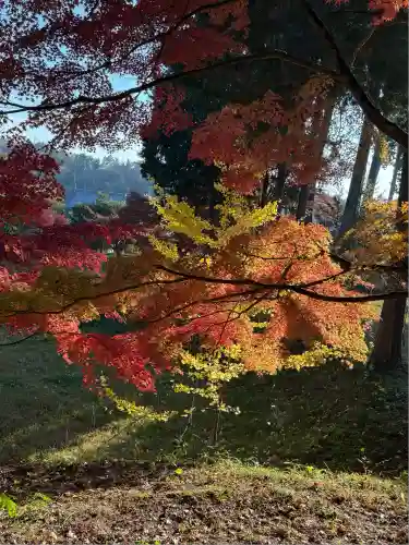 龍泉寺(岡山県)