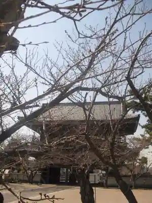 光明寺の山門・神門