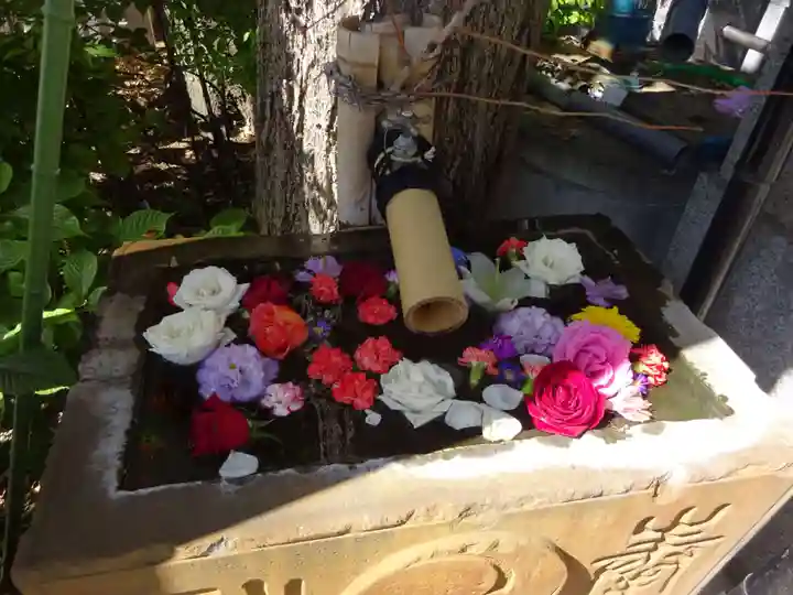 菊名神社の手水舎