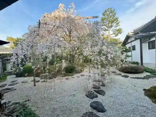 西住院(京都府)