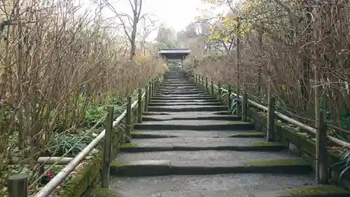 明月院(神奈川県)