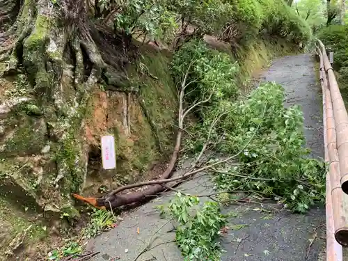 大興善寺の自然