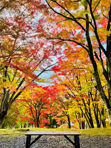 土津神社｜こどもと出世の神さま(福島県)