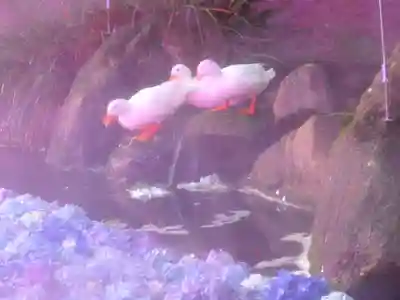 楽法寺（雨引観音）(茨城県)