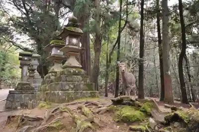 春日大社(奈良県)