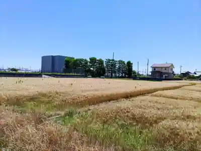 神明社（寛延）の自然