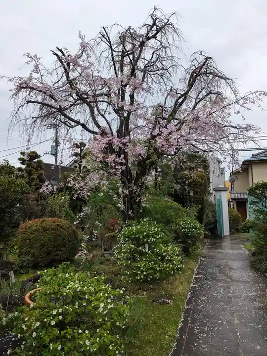 正法寺(東京都)