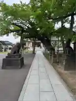豊受神社(千葉県)
