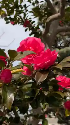 常善寺(滋賀県)