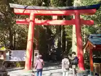 箱根神社の鳥居