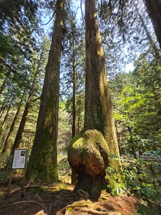 花園神社(茨城県)
