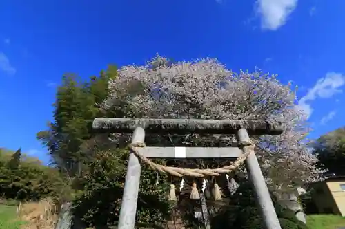 見渡神社の鳥居