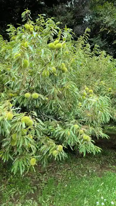 七百餘所神社 の周辺
