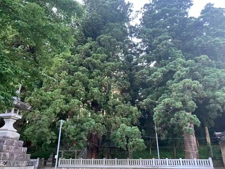 大洲七椙神社(長野県)
