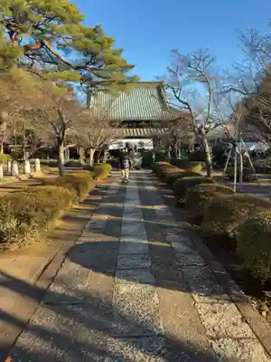 豪徳寺(東京都)