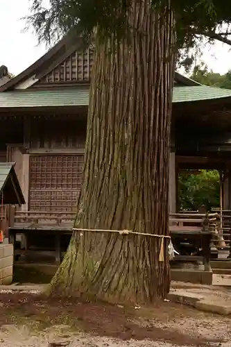 須我神社(島根県)