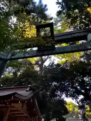 平塚八幡宮(神奈川県)