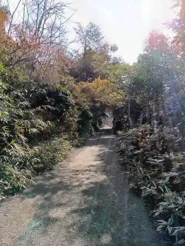 明治神宮(東京都)