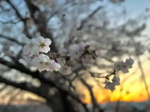 白鳥神社(長野県)