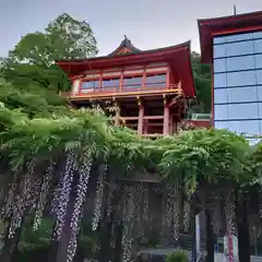 祐徳稲荷神社(佐賀県)