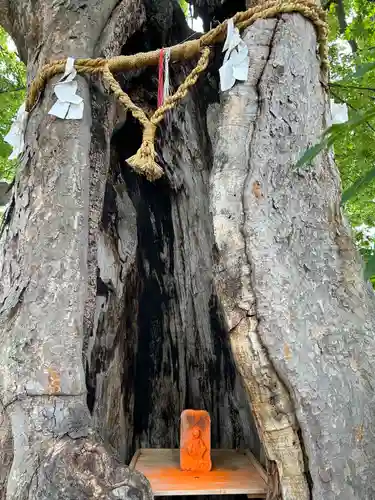 三ツ木神社(埼玉県)