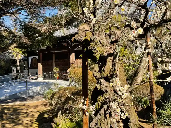 大正寺のその他建物