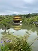 鹿苑寺(金閣寺)の{uncategorized: "未分類", other: "その他", undefined: "問題あり", building: "その他建物", grave: "お墓", sacred_gate: "鳥居", guardian: "狛犬", statue: "像", buddha: "仏像", history: "歴史", nature: "自然", garden: "庭園", animal: "動物", pagoda: "塔", temizu: "手水舎", mountain_gate: "山門・神門", sanctuary: "本殿・本堂", subordinate: "末社・摂社", art: "芸術", scenery: "景色", jizo: "地蔵", ema: "絵馬", goshuin: "御朱印", omikuji: "おみくじ", items: "授与品その他", amulet: "お守り", goshuincho: "御朱印帳", eats: "食事", festival: "お祭り", votive_dance: "神楽", shichigosan: "七五三参", wedding: "結婚式", experience: "体験その他", initially: "初詣", around: "周辺", anti_infection: "感染症対策"}