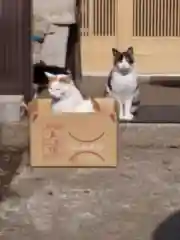 小坂神社の動物