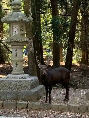 春日大社(奈良県)