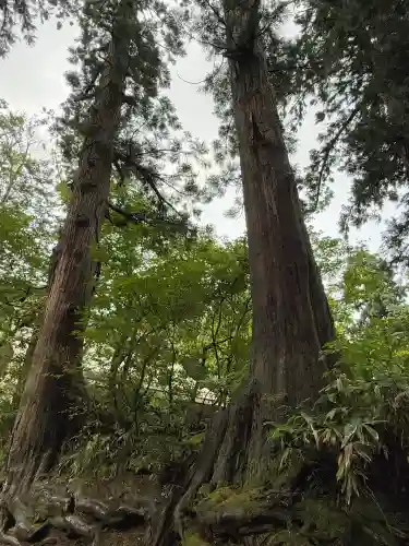 羽黒山天宥社(山形県)