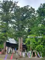 高司神社〜むすびの神の鎮まる社〜(福島県)