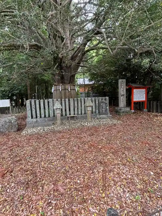 熊野速玉大社(和歌山県)