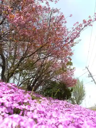 厚別神社の自然