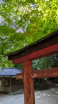 白山神社(京都府)