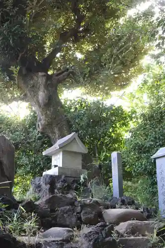 護国寺(東京都)