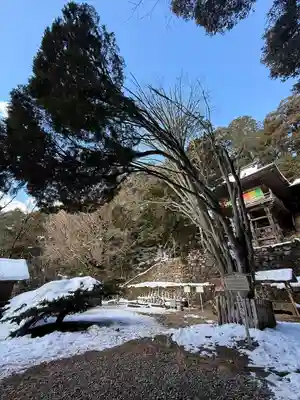 日龍峯寺(高澤観音)(美濃清水)(岐阜県)