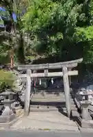 總鎮守八幡神社(愛媛県)