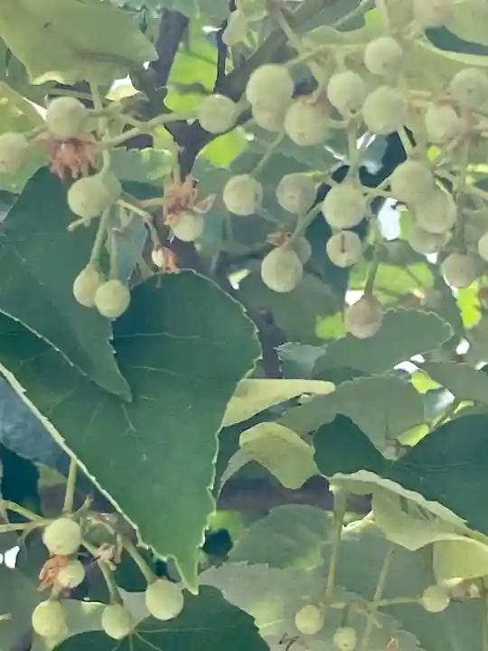 真正極楽寺(真如堂)(京都府)