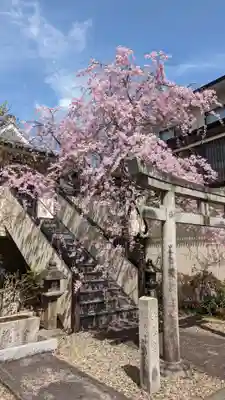 善行院(京都府)
