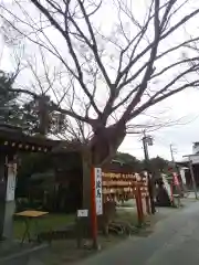 久里浜天神社の自然