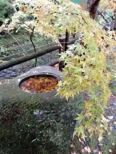 五所駒瀧神社の手水舎