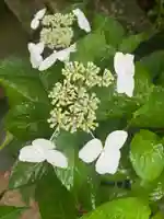 彦嶽宮(熊本県)