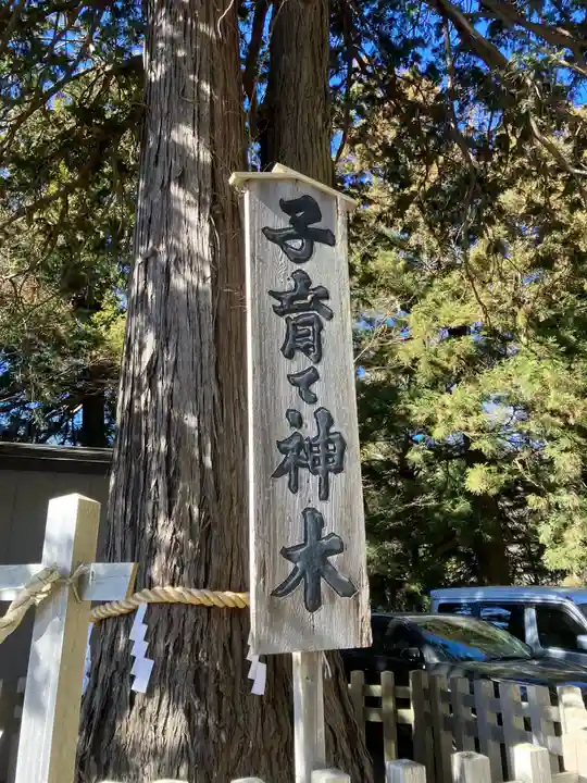 新倉富士浅間神社(山梨県)