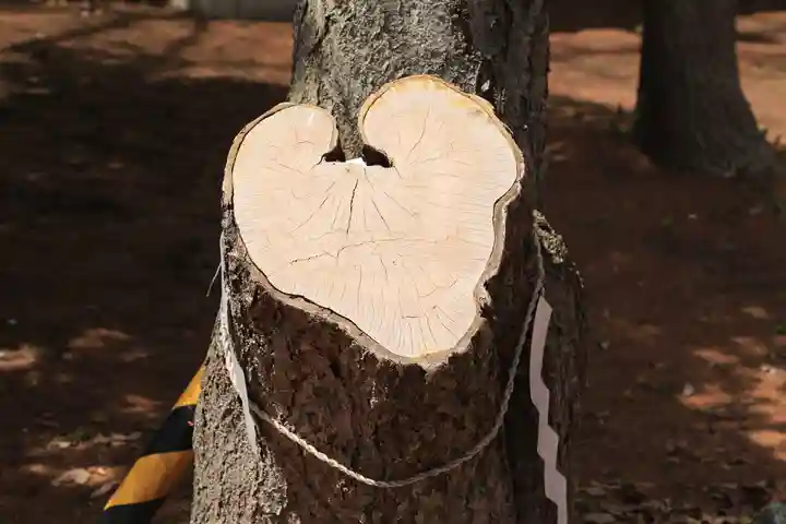 大谷地神社の自然