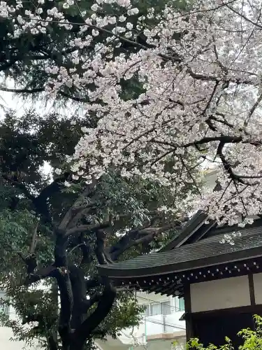駒込天祖神社(東京都)
