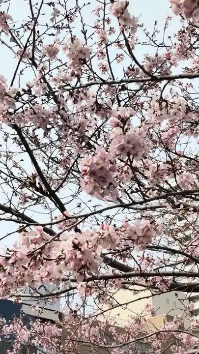 伊勢山皇大神宮の御朱印