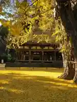 新宮熊野神社の本殿・本堂