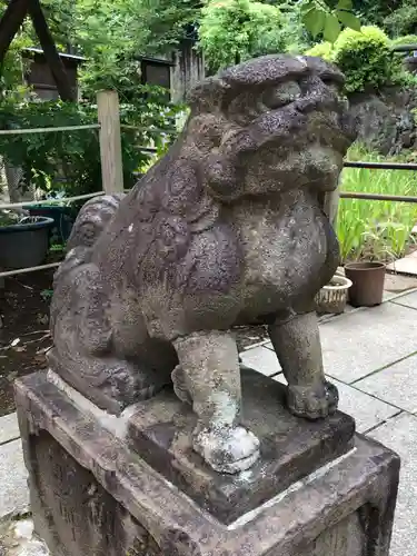 鳩森八幡神社の狛犬