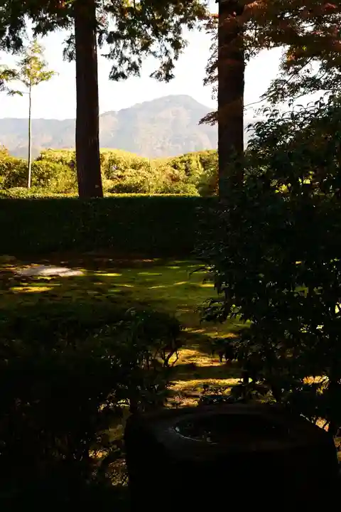 圓通寺(京都府)