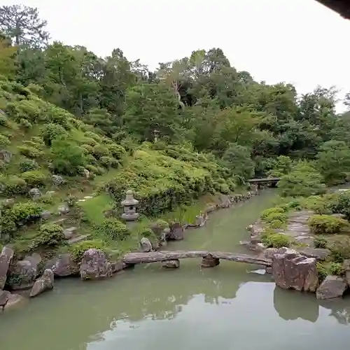 根来寺 智積院の庭園